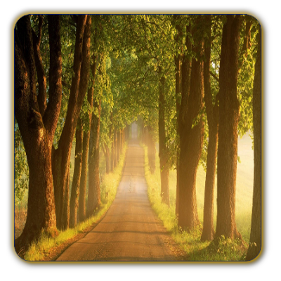 Ritual para abrir todos os caminhos da sua vida.