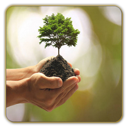 Simpatia para que a sua vida prospere e tenha sucesso.