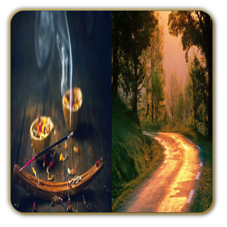 Faça uma limpeza espiritual para tirar todas as energias negativas e depois uma abertura de caminhos para melhorar a sua vida.